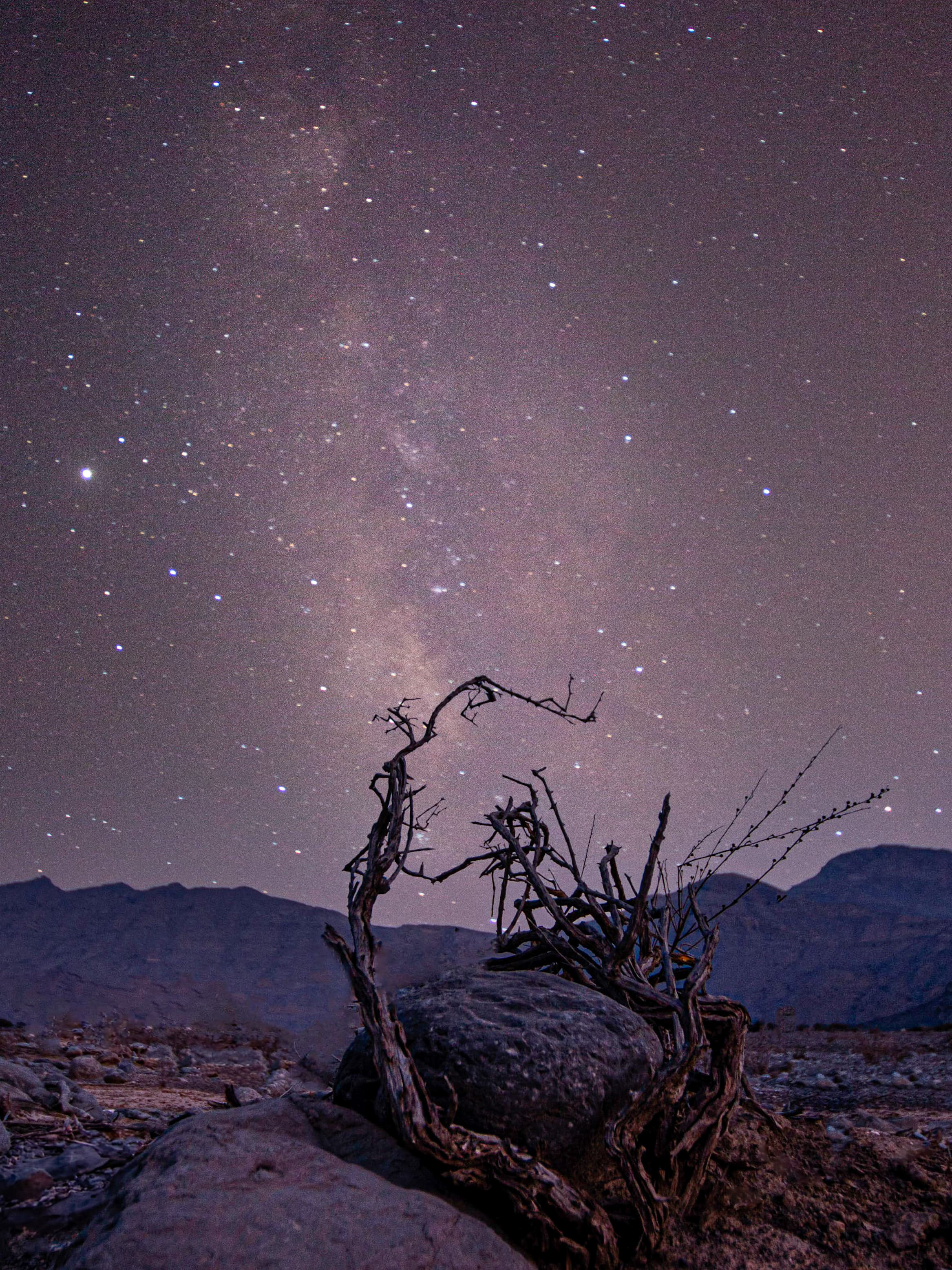 صورة